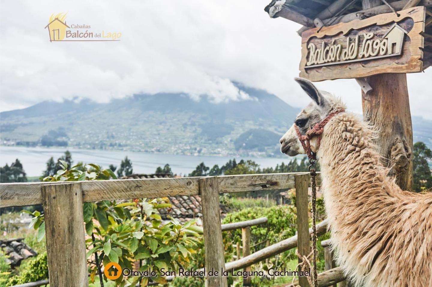 Cabanas Y Glampings Balcon Del Lago Otavalo Exterior foto